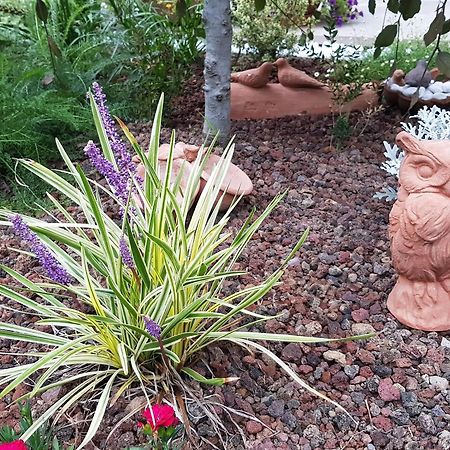 Nel Giardino Di Dafne Villa Stresa Eksteriør billede