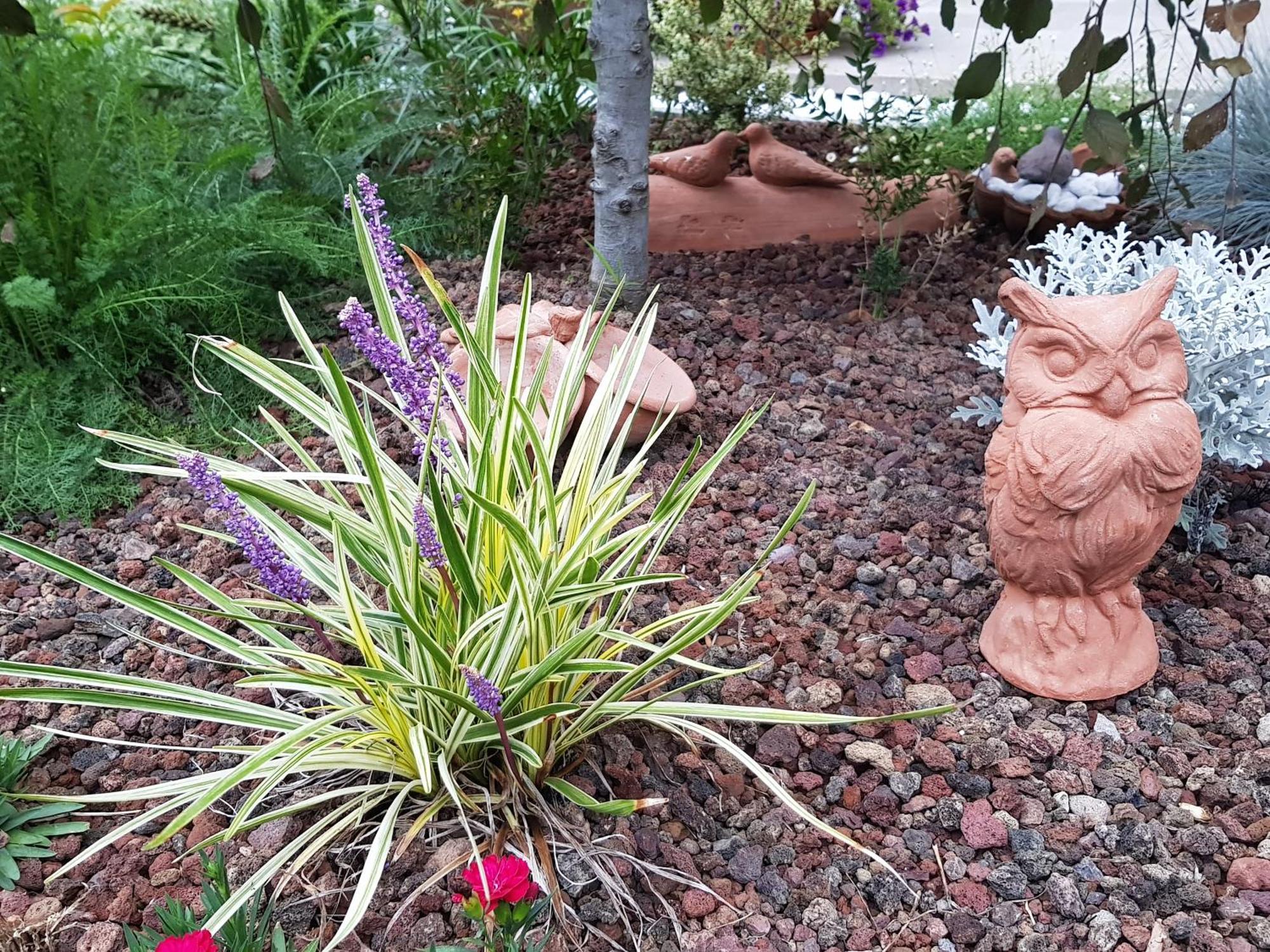 Nel Giardino Di Dafne Villa Stresa Eksteriør billede